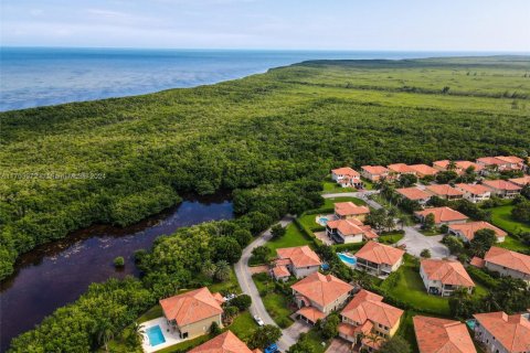 Casa en venta en Cutler Bay, Florida, 5 dormitorios, 315.77 m2 № 1457604 - foto 5