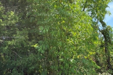 Propiedad comercial en venta en Okeechobee, Florida № 2147034 - foto 22