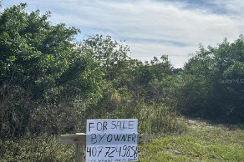 Land in Lehigh Acres, Florida № 2161998 - photo 3
