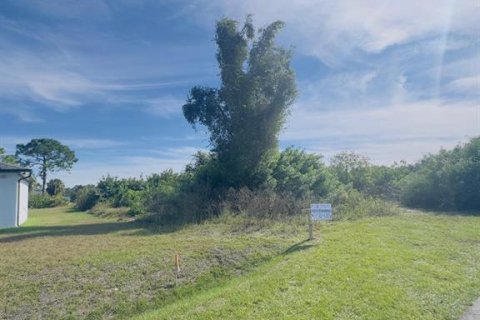 Land in Lehigh Acres, Florida № 2161998