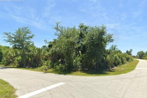 Land in Port Charlotte, Florida № 2162013