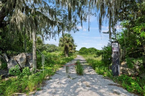 Land in Flagler Beach, Florida № 2127803 - photo 17
