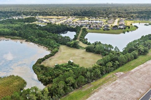 Land in Flagler Beach, Florida № 2127803 - photo 6
