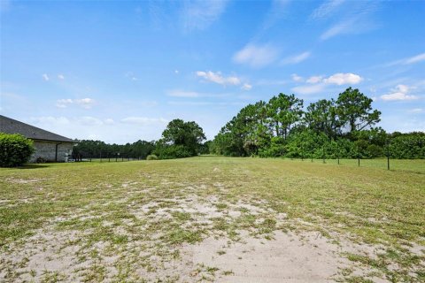 Land in Flagler Beach, Florida № 2127803 - photo 16