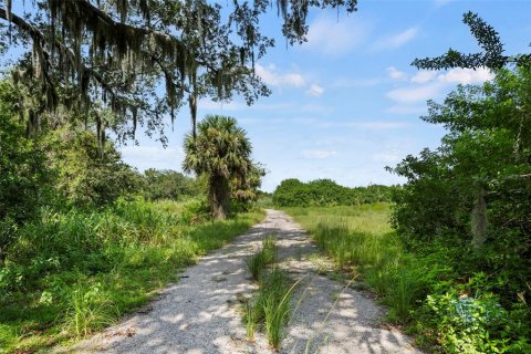 Land in Flagler Beach, Florida № 2127803 - photo 18