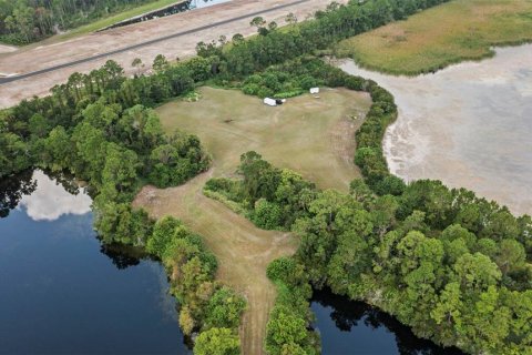 Land in Flagler Beach, Florida № 2127803 - photo 4