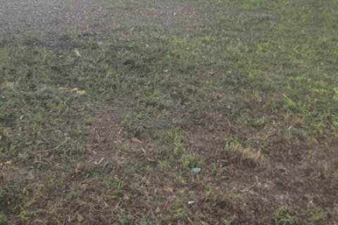 Land in Apopka, Florida № 2206919