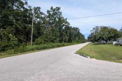Land in Summerfield, Florida № 2094182 - photo 15