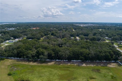 Land in Summerfield, Florida № 2094182 - photo 5