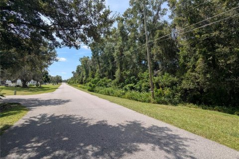 Land in Summerfield, Florida № 2094182 - photo 10