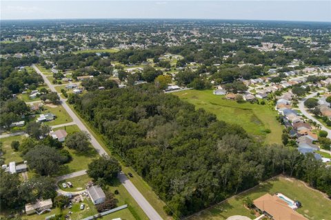 Land in Summerfield, Florida № 2094182 - photo 4