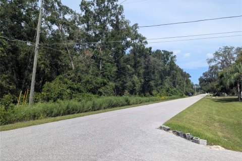 Land in Summerfield, Florida № 2094182 - photo 14