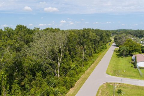 Land in Summerfield, Florida № 2094182 - photo 7