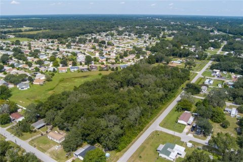 Land in Summerfield, Florida № 2094182 - photo 3