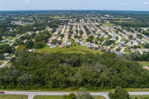 Land in Summerfield, Florida № 2094182 - photo 6