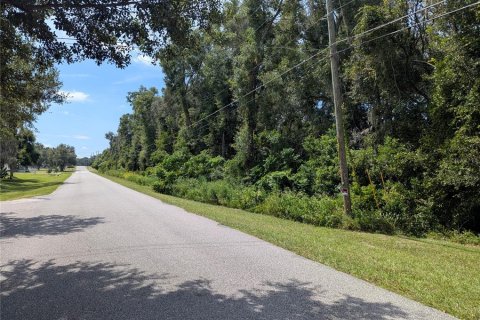 Land in Summerfield, Florida № 2094182 - photo 9