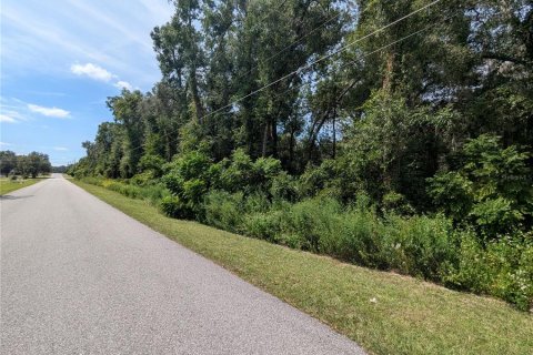 Land in Summerfield, Florida № 2094182 - photo 11