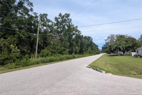 Land in Summerfield, Florida № 2094182 - photo 13