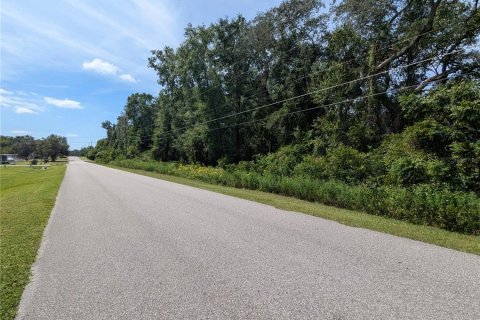 Land in Summerfield, Florida № 2094182 - photo 12