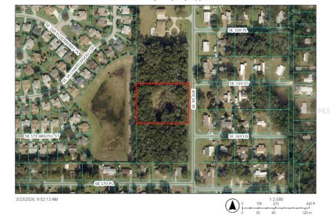 Land in Summerfield, Florida № 2094182 - photo 2