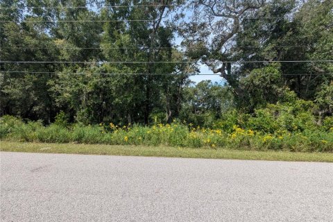 Land in Summerfield, Florida № 2094182 - photo 8