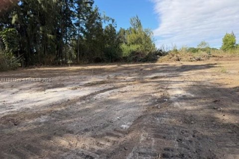 Commercial property in Miami, Florida № 2056766 - photo 2