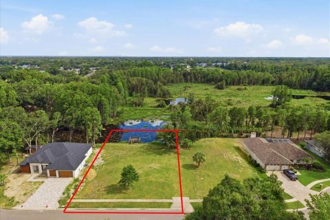 Terrain à Tampa, Floride № 2094646
