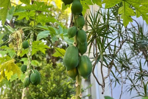 Condominio en alquiler en Miami, Florida, 2 dormitorios, 74.32 m2 № 1970193 - foto 23