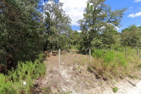 Terrain à vendre à Spring Hill, Floride № 2092197 - photo 6