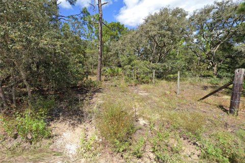 Terrain à vendre à Spring Hill, Floride № 2092197 - photo 2