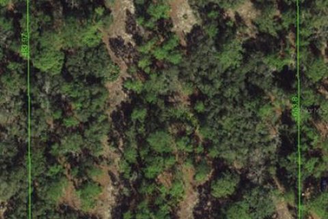 Terrain à Spring Hill, Floride № 2092197