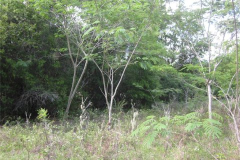 Propiedad comercial en venta en Belleview, Florida, 113.62 m2 № 2226799 - foto 9