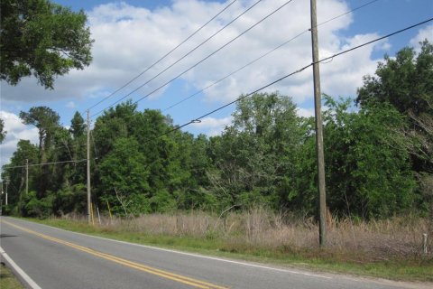 Propiedad comercial en venta en Belleview, Florida, 113.62 m2 № 2226799 - foto 3