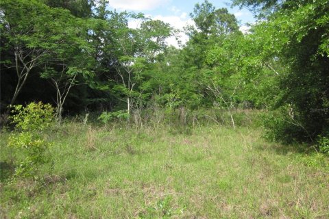 Propiedad comercial en venta en Belleview, Florida, 113.62 m2 № 2226799 - foto 7