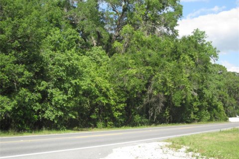Propiedad comercial en venta en Belleview, Florida, 113.62 m2 № 2226799 - foto 2