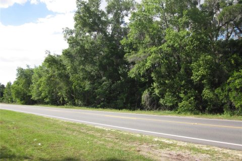 Propiedad comercial en venta en Belleview, Florida, 113.62 m2 № 2226799 - foto 4