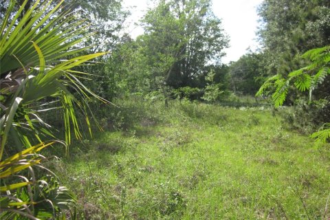 Propiedad comercial en venta en Belleview, Florida, 113.62 m2 № 2226799 - foto 8