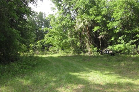 Propiedad comercial en venta en Belleview, Florida, 113.62 m2 № 2226799 - foto 6