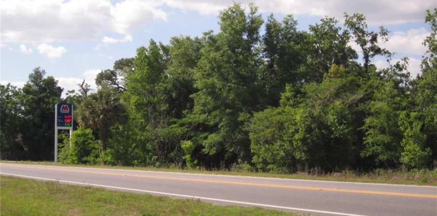 Propiedad comercial en Belleview, Florida 113.62 m2 № 2226799
