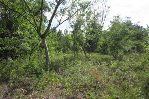 Propiedad comercial en venta en Belleview, Florida, 113.62 m2 № 2226799 - foto 10