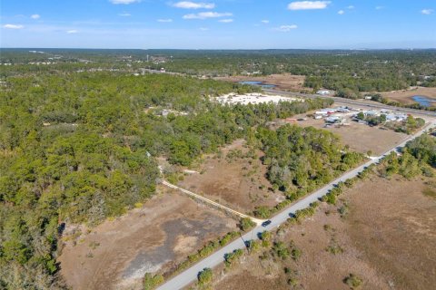 Land in Weeki Wachee, Florida № 2108138 - photo 3