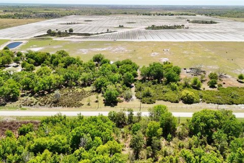 Terrain à vendre à Fort Meade, Floride № 2201682 - photo 16