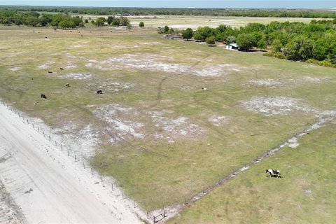 Terrain à vendre à Fort Meade, Floride № 2201682 - photo 5