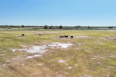 Terrain à vendre à Fort Meade, Floride № 2201682 - photo 21