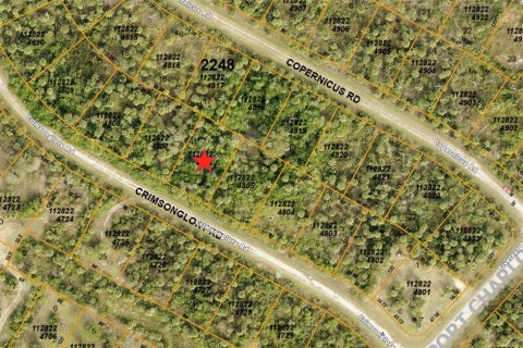 Land in North Port, Florida № 2162994 - photo 2