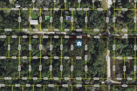 Land in Belleview, Florida № 2165953