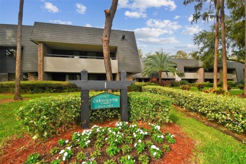 Condo in Palm Harbor, Florida, 1 bedroom  № 1440781 - photo 1