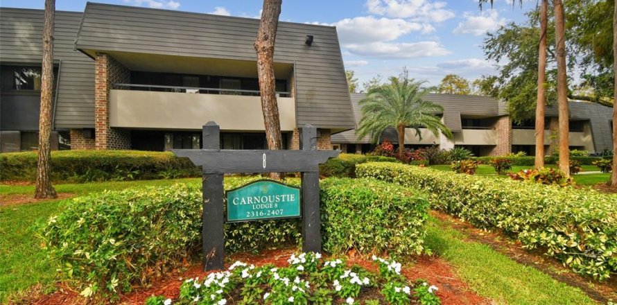 Condo in Palm Harbor, Florida, 1 bedroom № 1440781