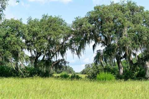 Land in Umatilla, Florida № 1808872 - photo 1