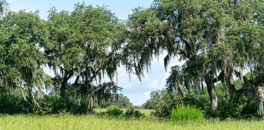 Land in Umatilla, Florida № 1808872